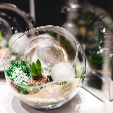 正版软件集市的如何攻击网站